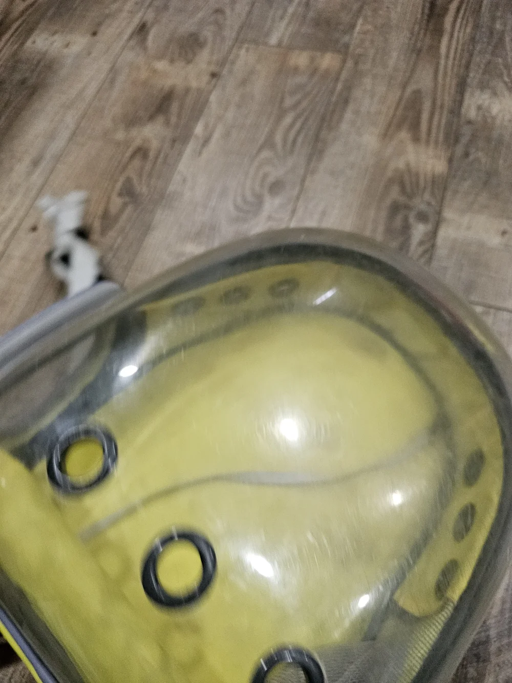 Lollimeow Cat Carrier For Planes Travel Backpack Bubble *Worn, Need Cleaned*